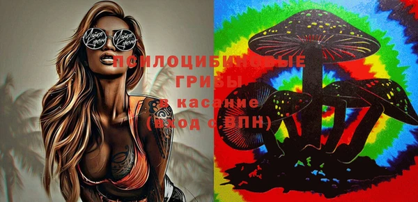 a pvp Алексин