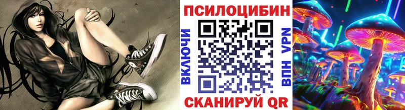 Псилоцибиновые грибы ЛСД  сайты даркнета клад  Сорочинск  ОМГ ОМГ как войти 