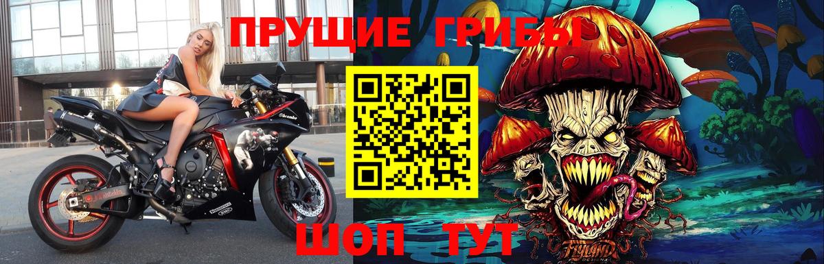 Псилоцибиновые грибы мухоморы Сорочинск
