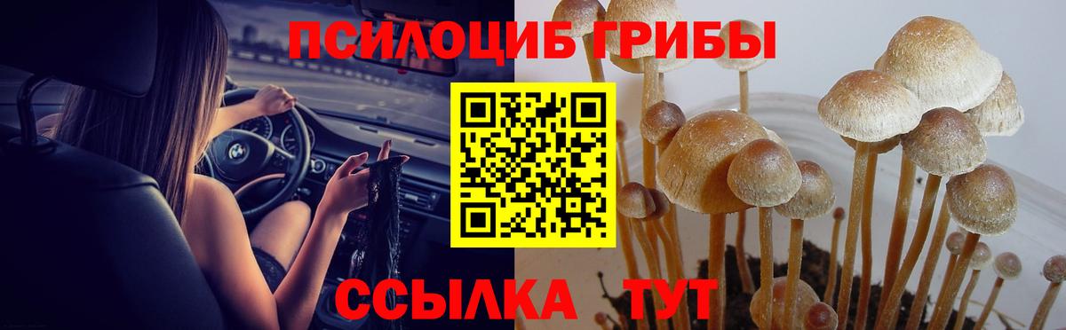 Галлюциногенные грибы ЛСД  Вход с VPN  где купить наркотик  Сорочинск 